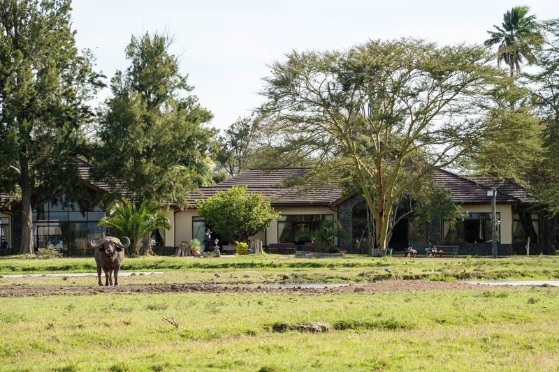 Sweetwaters Serena Camp Nanyuki Exteriér fotografie