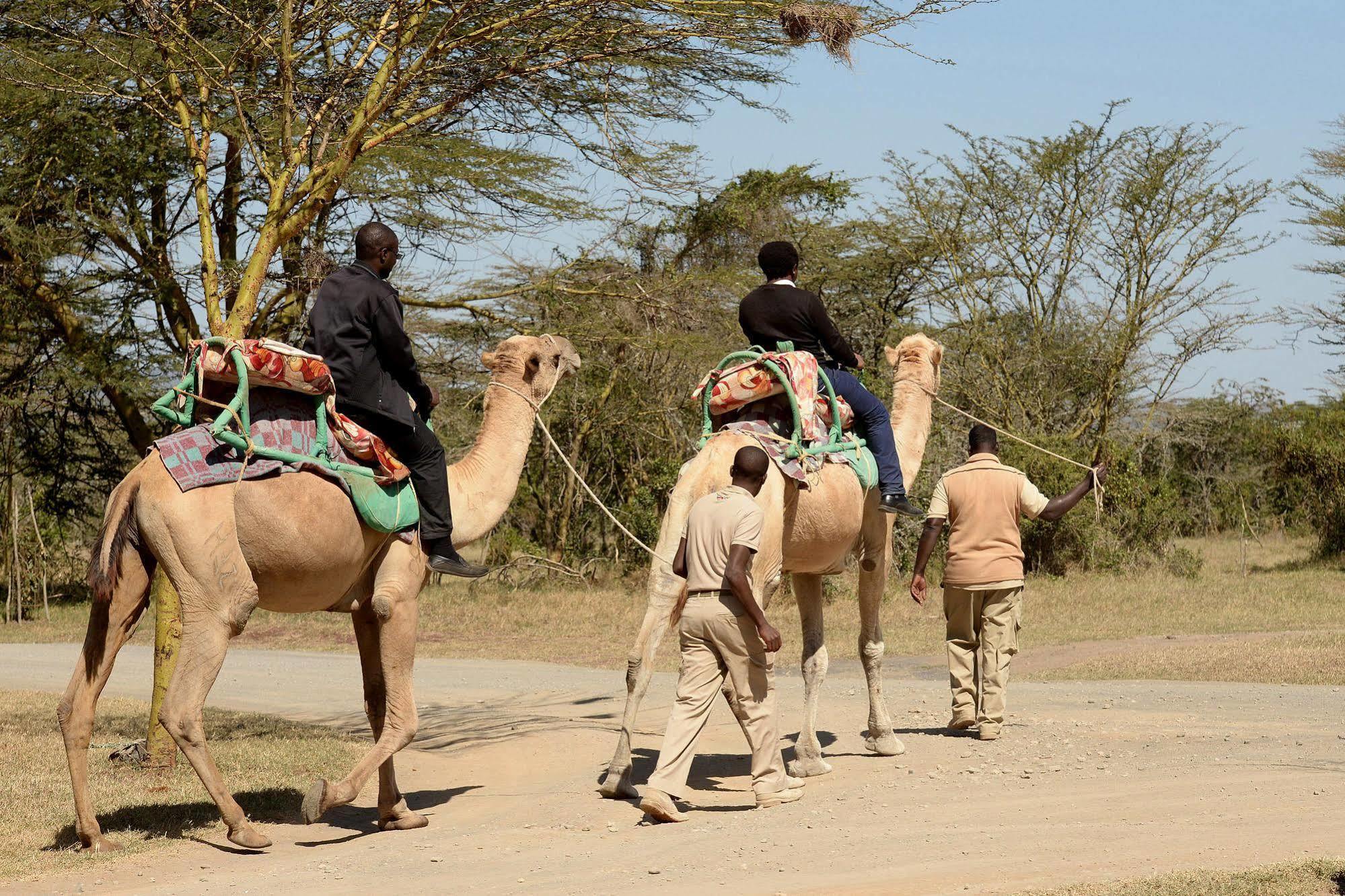 Sweetwaters Serena Camp Nanyuki Exteriér fotografie