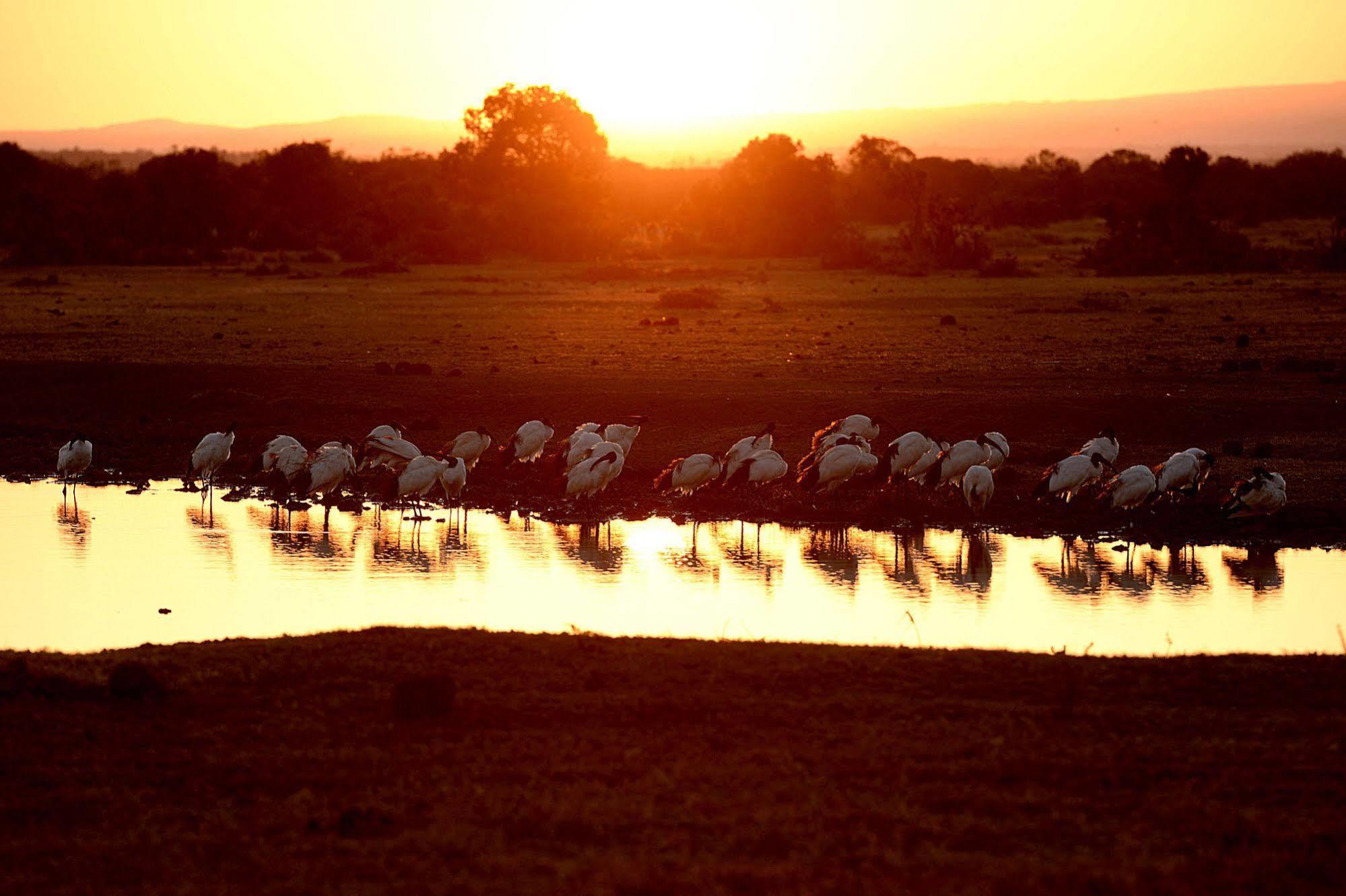 Sweetwaters Serena Camp Nanyuki Exteriér fotografie